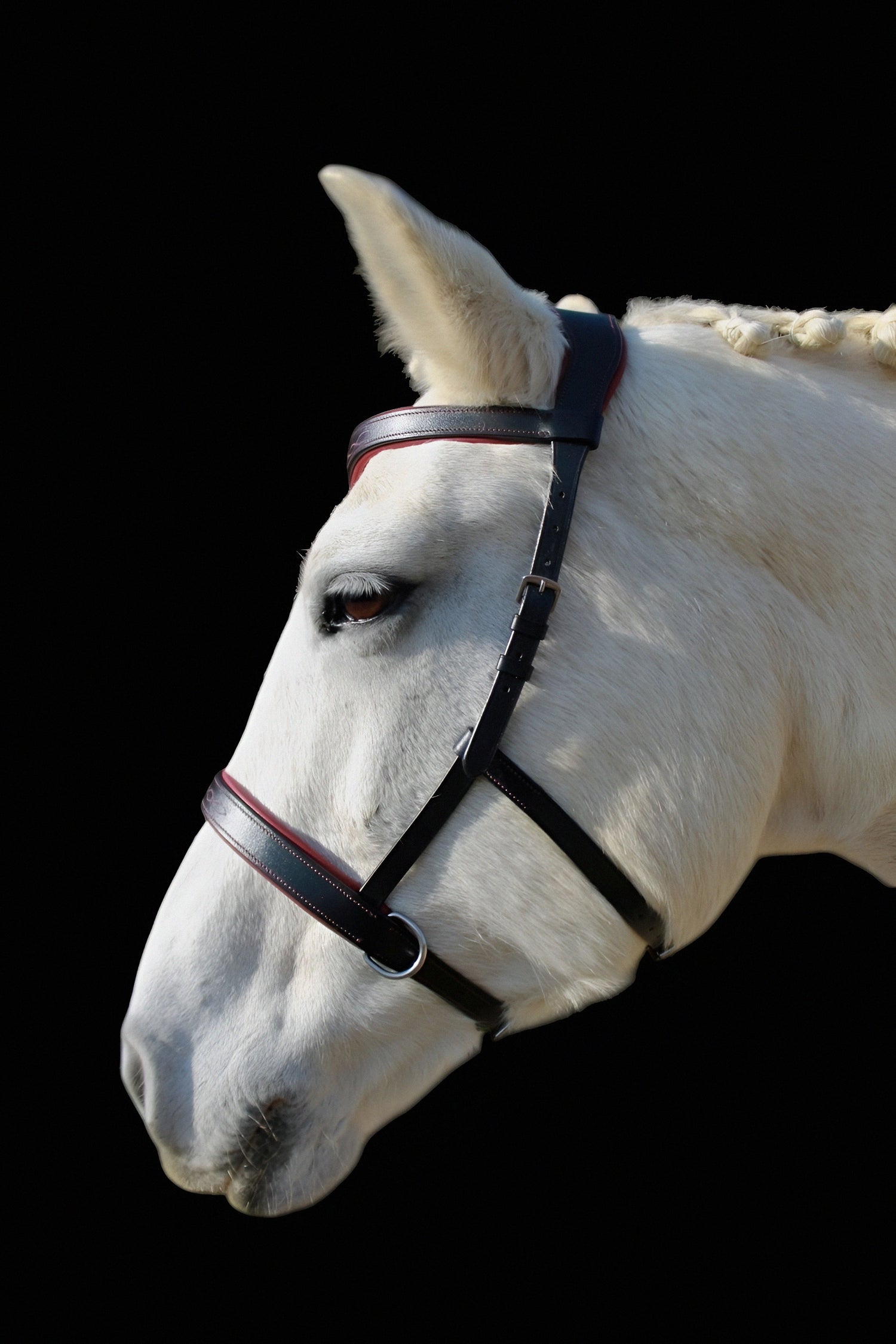 Bitless Luxury MyColleen