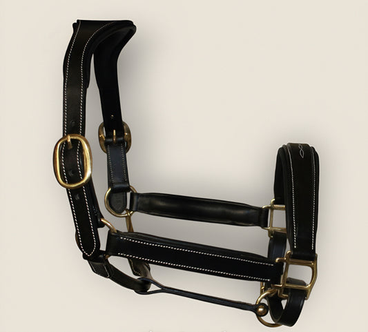 Capezza Luxury MIDNIGHT MOON